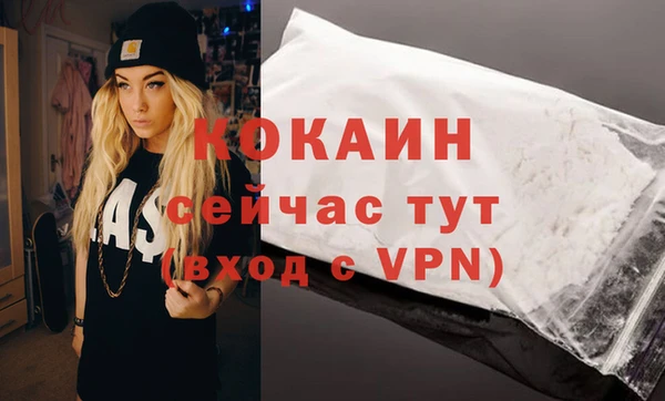 мяу мяу мука Коряжма
