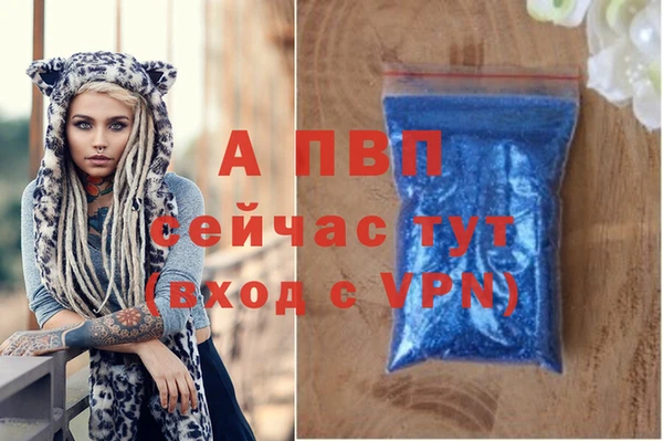 ECSTASY Кодинск