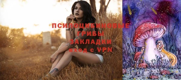 дурь Корсаков