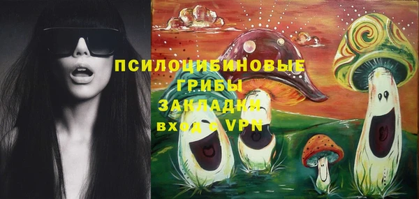 ECSTASY Кодинск