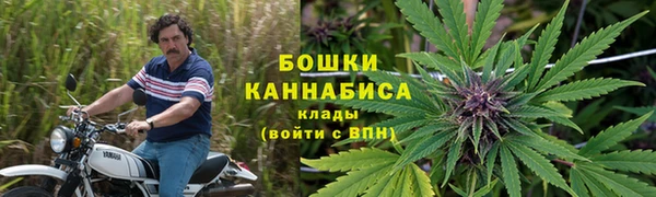 мяу мяу мука Коряжма