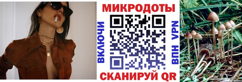 Галлюциногенные грибы прущие грибы  Кинешма 